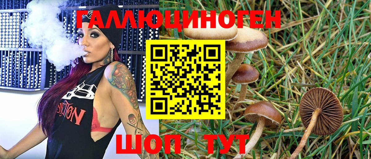 Псилоцибиновые грибы Magic Shrooms  Вход с VPN  Волжский 